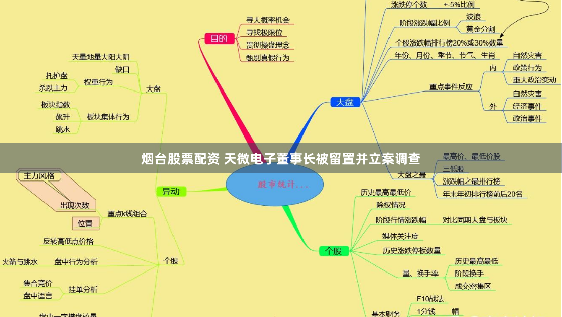 煙臺股票配資 天微電子董事長被留置并立案調查